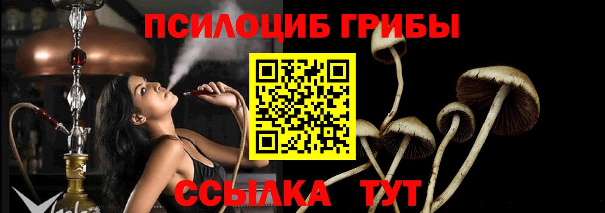 Псилоцибиновые грибы Cubensis  Вход с VPN  Новошахтинск  Псилоцибиновые грибы GOLDEN TEACHER 